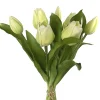 Sfeermakers|ohgreen Tulpenbundel lichtgroen