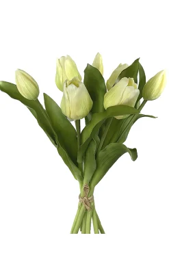 Sfeermakers|ohgreen Tulpenbundel lichtgroen