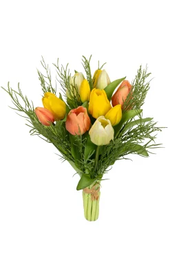 Sfeermakers|ohgreen Tulpenbundel/gras geel/zalm mix