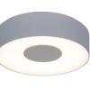 Verlichting|Ecocheques|ohgreen Ublo wand / plafondlamp small zilver led 8w