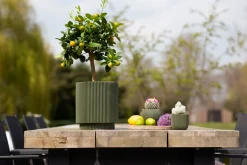 Potten En Vazen|ohgreen Vaas cilind groove 19x21