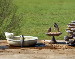 Verkoeling Voor Je Dier|Voederhuisjes En Aanverwanten|ohgreen Vogelbad
