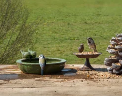 Verkoeling Voor Je Dier|Voederhuisjes En Aanverwanten|ohgreen Vogelbad