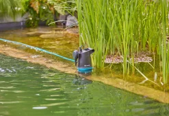 Bewatering|ohgreen Vuilwaterpomp 20000 Basic