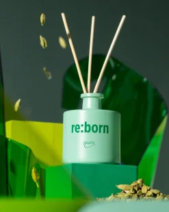 Geuren|ohgreen We are diffuser re:born