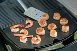 Accessoires En Onderhoud|ohgreen WEBER BAKPLAAT Q 2000 SERIES