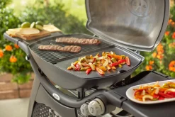 Accessoires En Onderhoud|ohgreen WEBER BAKPLAAT Q 3000 SERIES