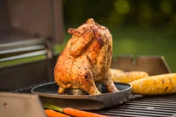 Accessoires En Onderhoud|ohgreen WEBER DELUXE GEVOGELTESTOMER