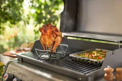 Accessoires En Onderhoud|ohgreen WEBER GEVOGELTESTOMER