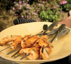 Accessoires En Onderhoud|ohgreen WEBER GRILLROOSTER EN SPIESENSET