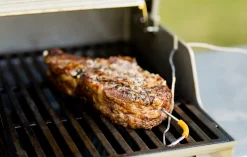 Accessoires En Onderhoud|ohgreen WEBER IGRILL PRO VLEESSENSOR