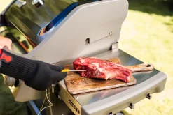 Accessoires En Onderhoud|ohgreen WEBER IGRILL PRO VLEESSENSOR