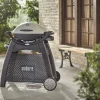 Accessoires En Onderhoud|ohgreen WEBER LUXE ONDERSTEL VOOR Q™ 2000 SERIE