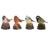 Beelden|ohgreen Welkom vogel