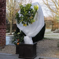 Winter|Ecocheques|ohgreen Winterafdekvlies 2x5m wit 30g/m²
