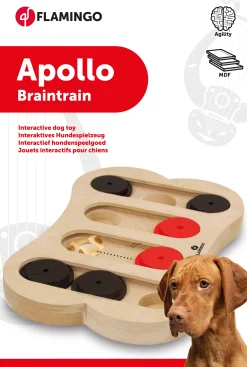 Speelgoed|ohgreen Wooden brain train apollo 30x20cm