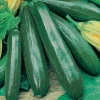 Zaden|Ecocheques|ohgreen Zaden: courgette black beauty