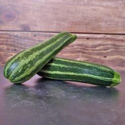 Zaden|Ecocheques|ohgreen Zaden: courgette verte d'italie