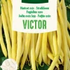 Zaden|Ecocheques|ohgreen Zaden struikboon victor 100g