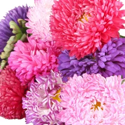 Zaden|Ecocheques|ohgreen Zaden: zomeraster gemengd